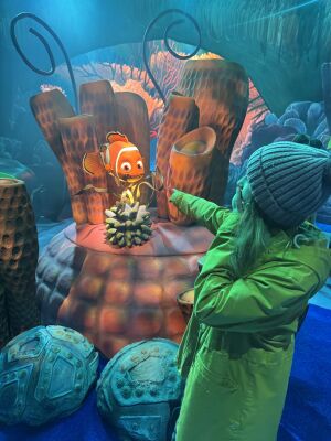 Thursday 12th February 2026