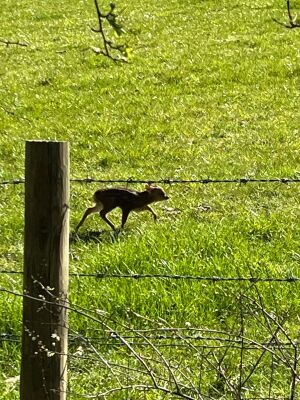 Saturday 21st March 2026