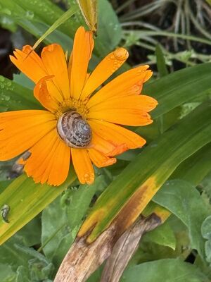 Sunday 3rd May 2026
